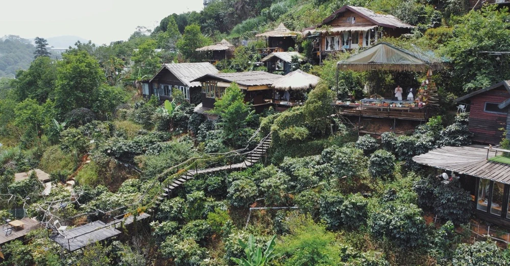 Cú Trên Cây Homestay