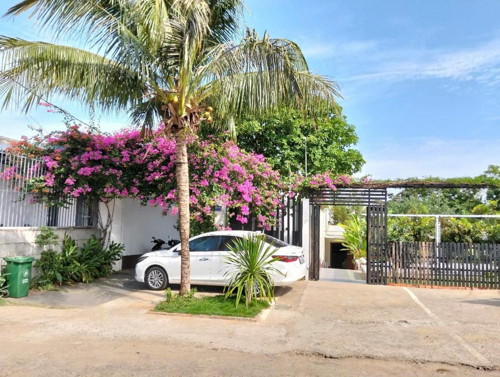 Đồi Sao Homestay