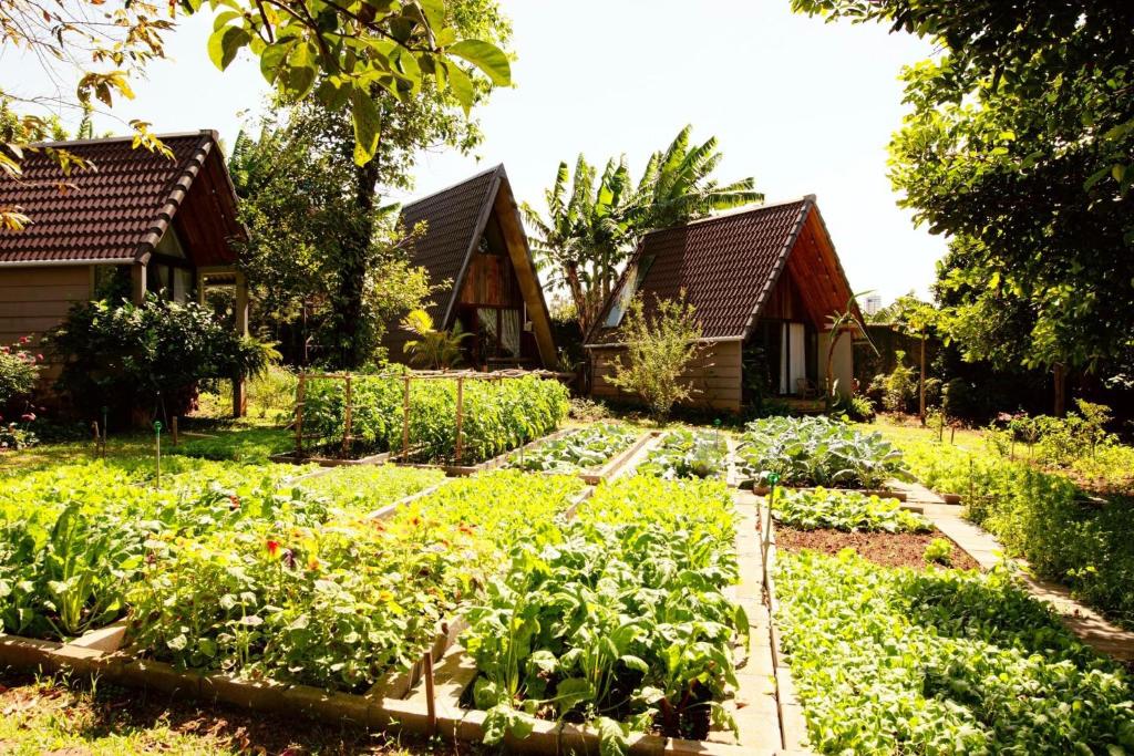 Buon’s Garden