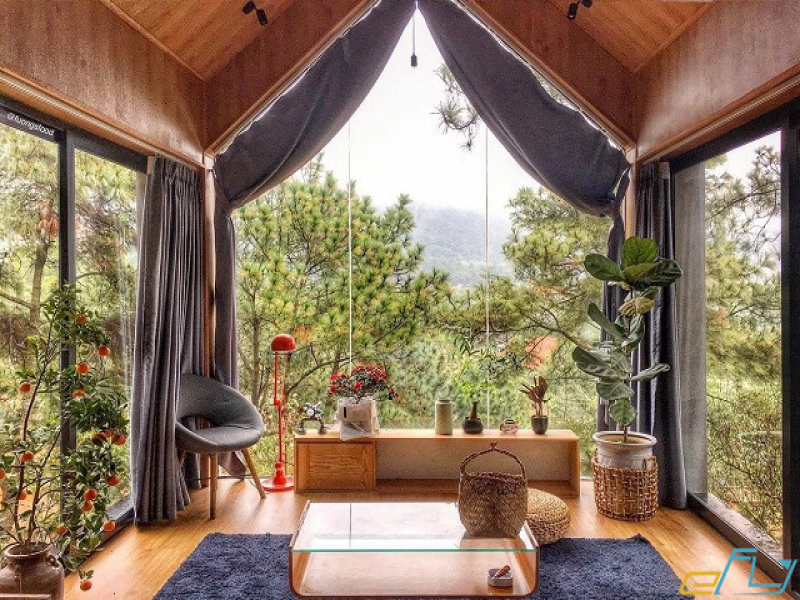 Hoa Homestay Thanh Hóa