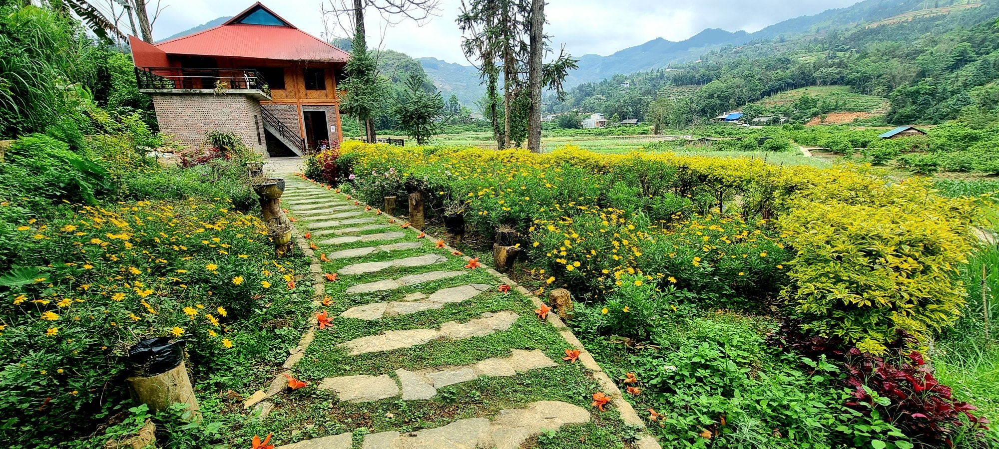 Bắc Hà Threeland Homestay