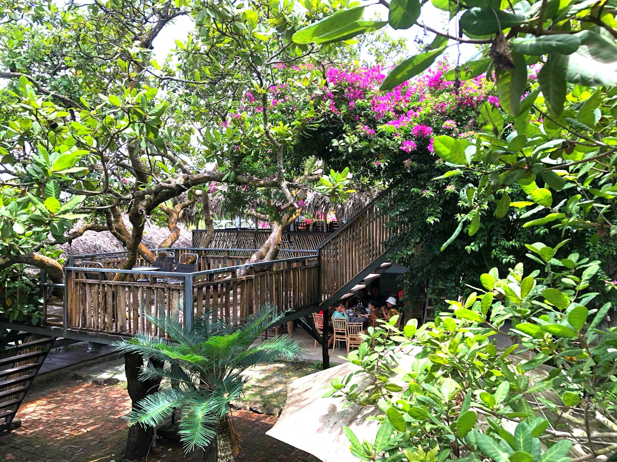 Bồ Câu Farm