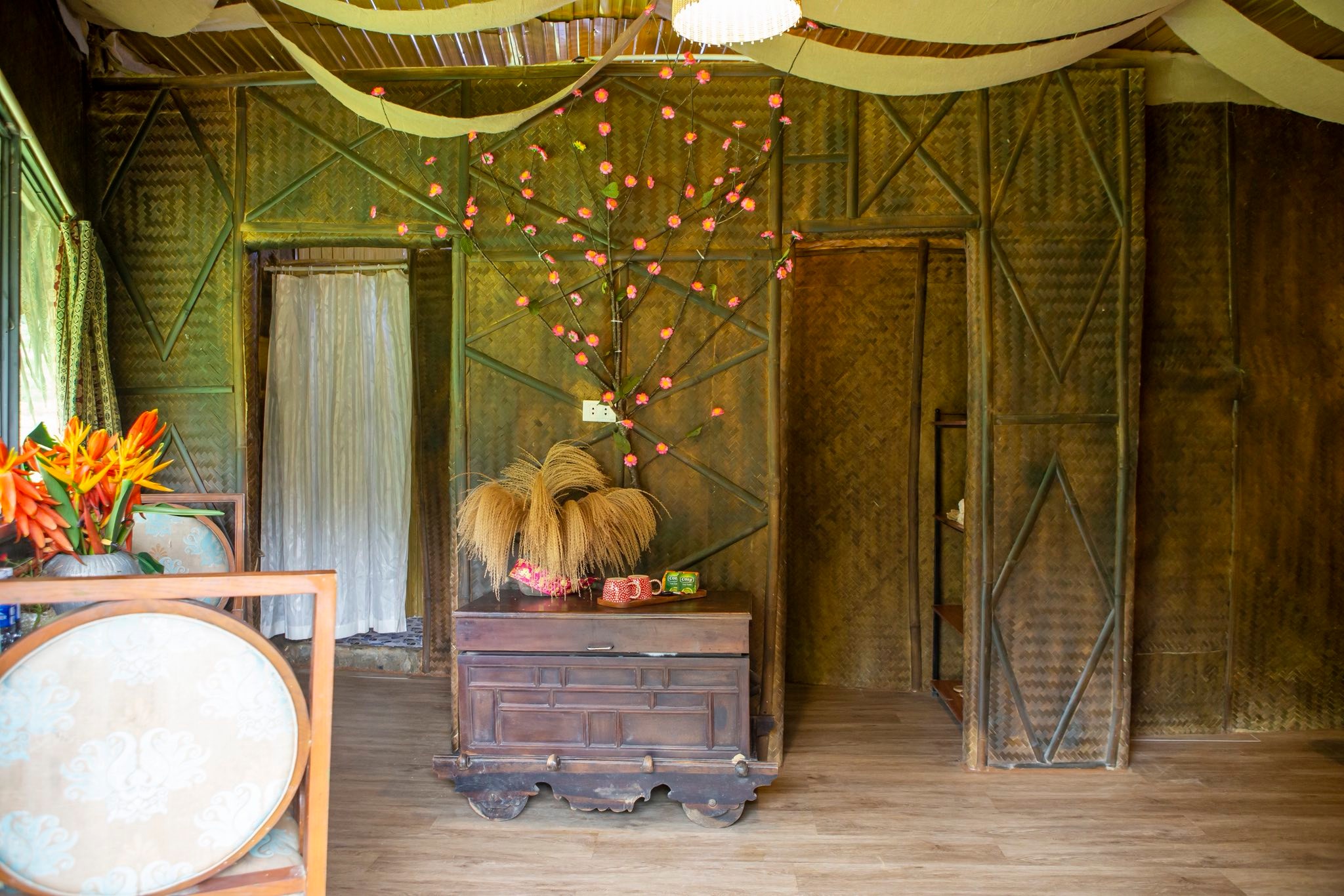 Tớ Dày Du Già Homestay