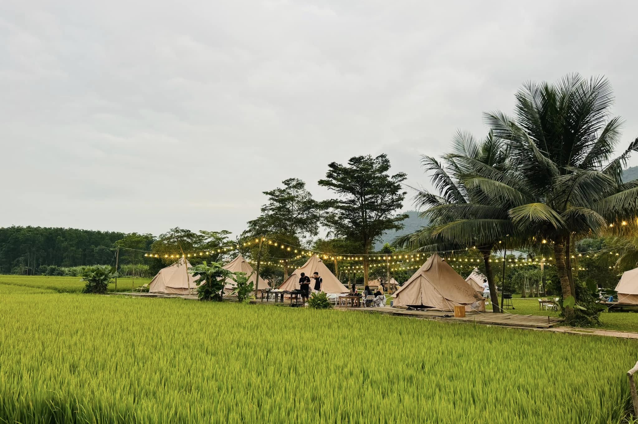 Hoà Bắc Ecologde – Camping Space Art