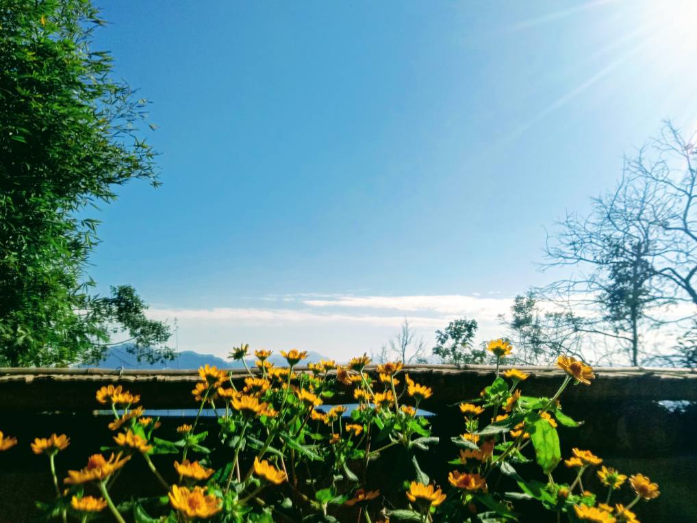 Homestay Xuân Sang