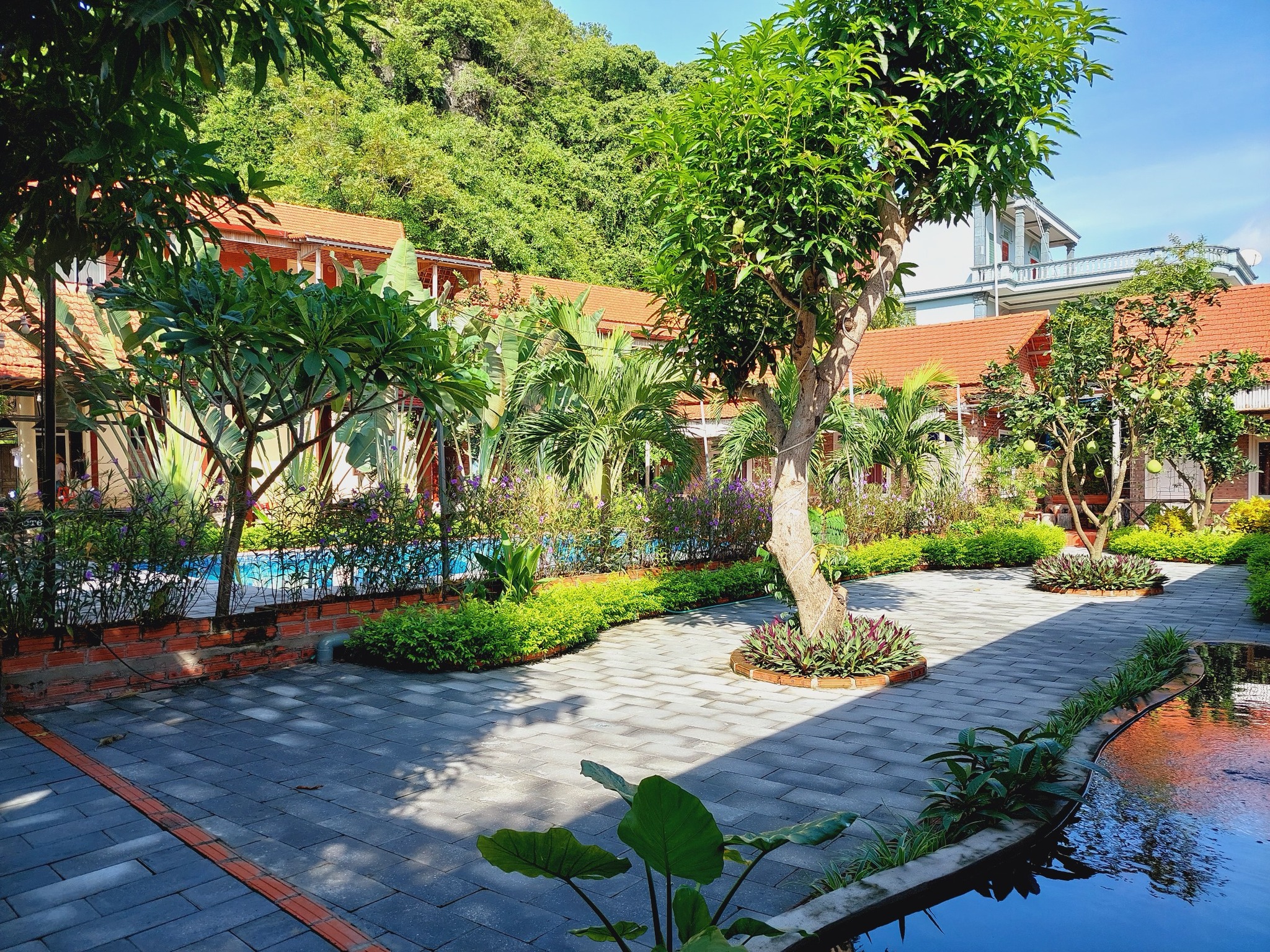Ninh Binh Mountain Side Homestay & Cafe