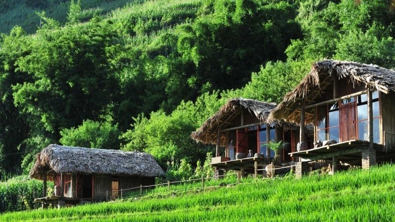 Phơri’s House