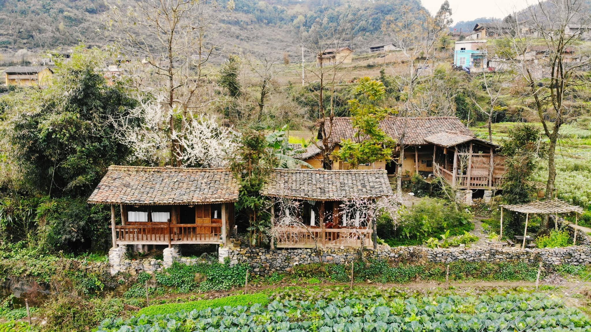 LoLo Eco House – Homestay Lũng Cú Hà Giang View Đẹp