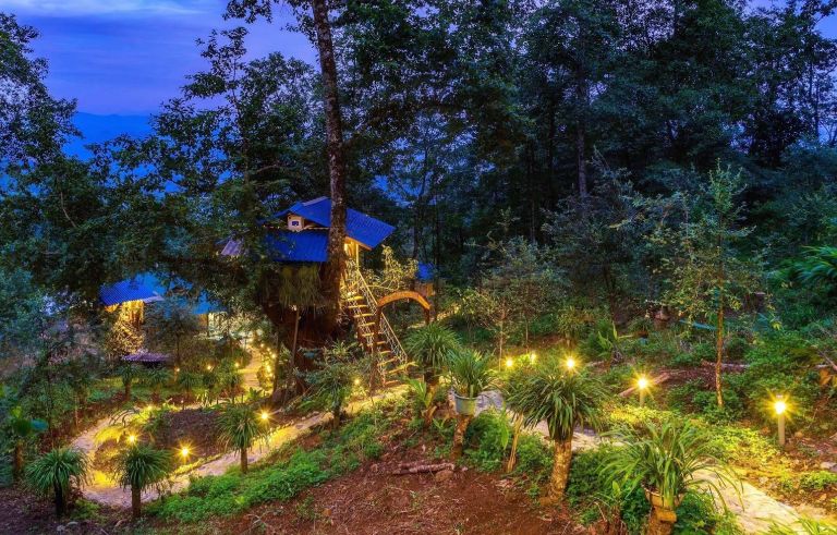 Homestay Nhà Tổ Chim