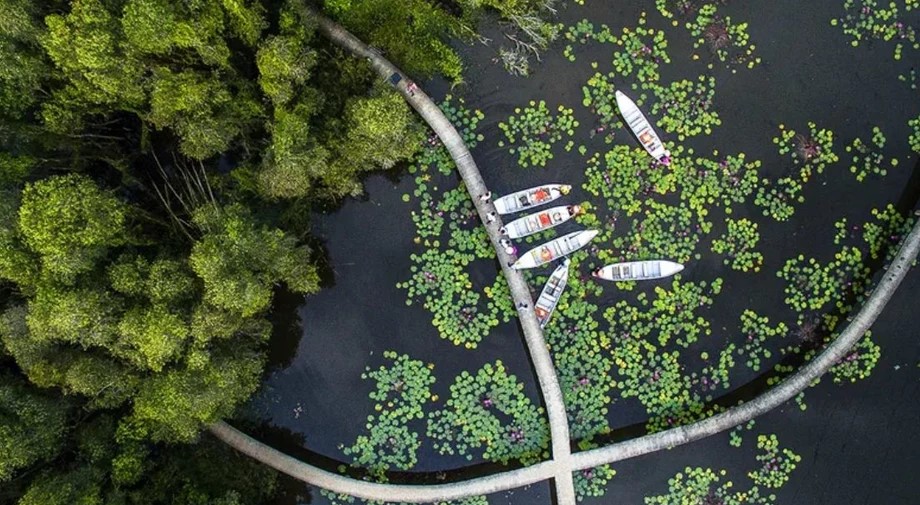 Làng nổi Tân Lập