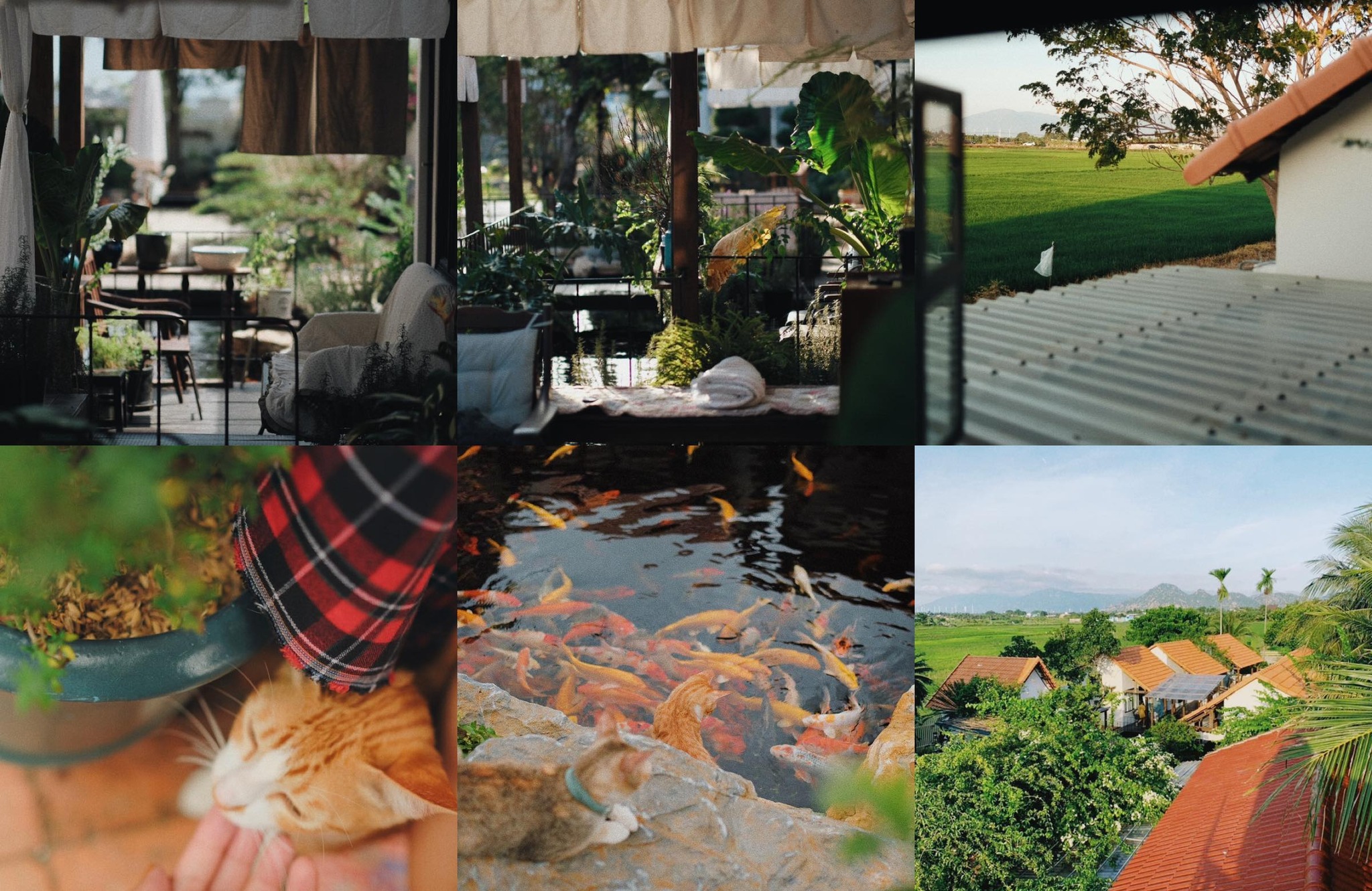 Ukiyo Homestay Ninh Thuận