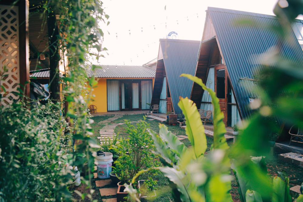 Nhà của Nếp
