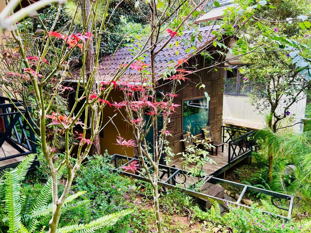 Bazan Home