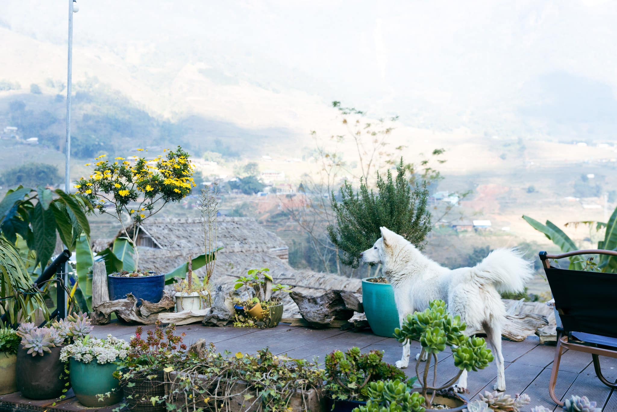 Plum Eco House
