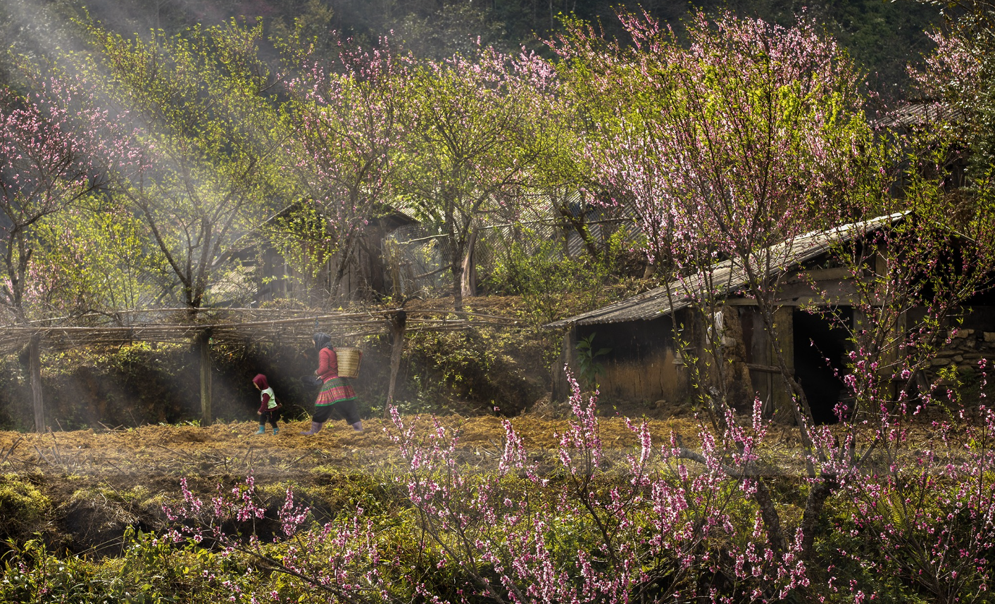 Homestay Thảo Nguyên Xanh