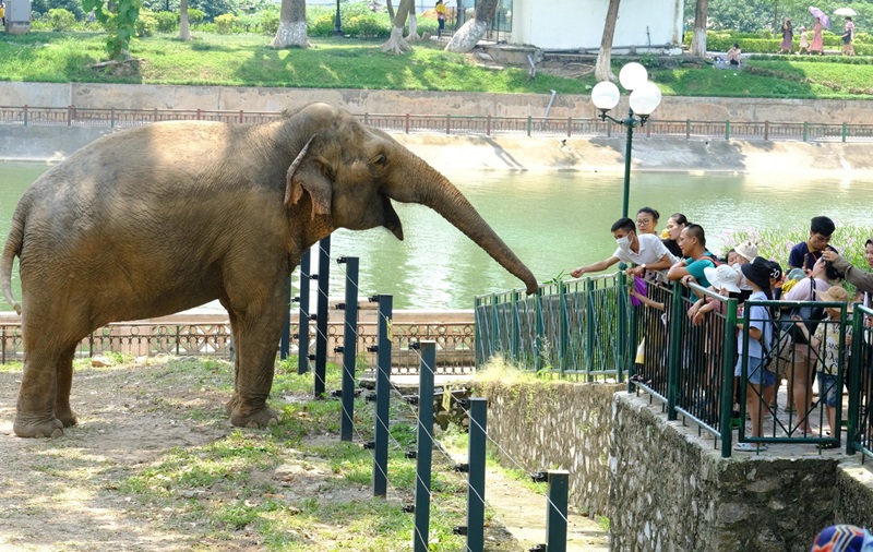 Vườn thú đa dạng