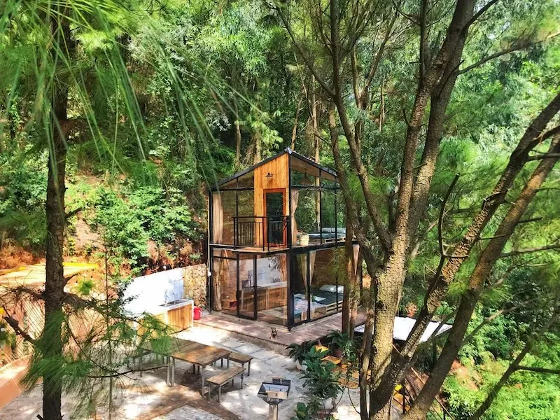 Pin Forest House Homestay