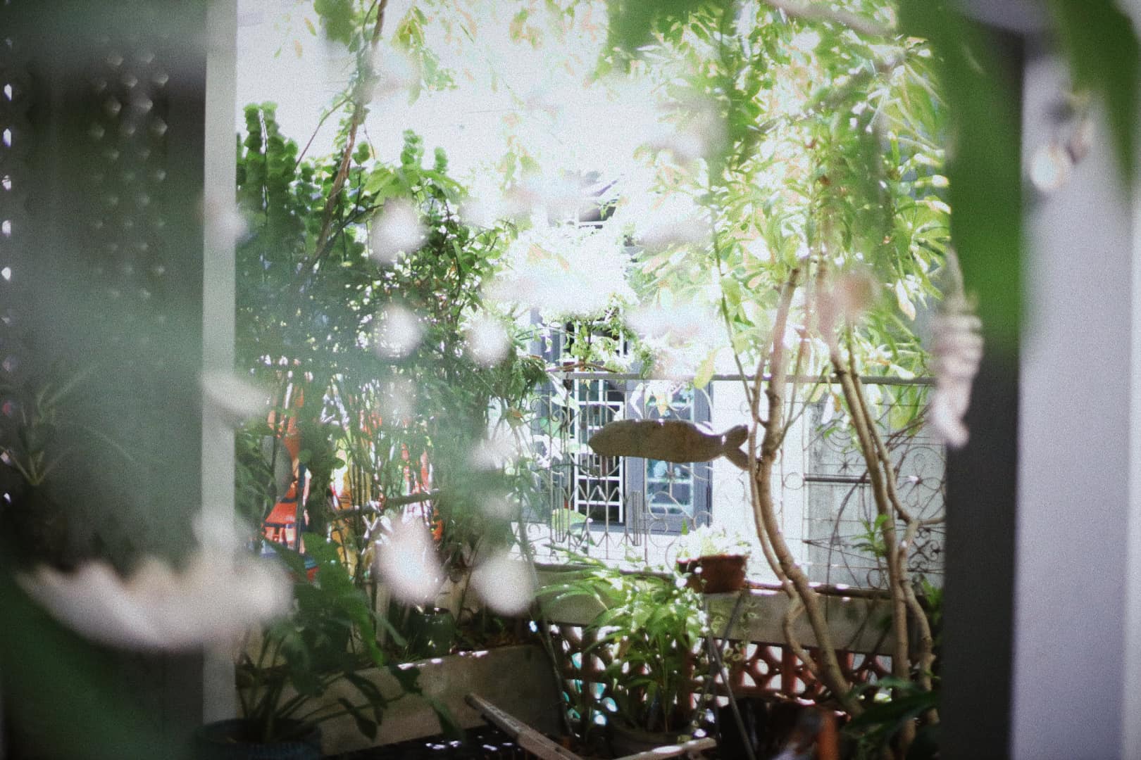 Homestay Cá Home – Ta là cá, Biển là nhà