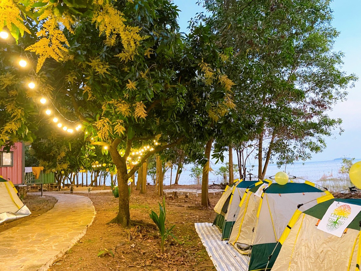 481 Homestay