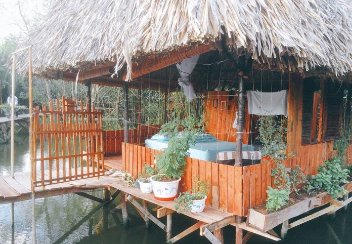 Homestay Pomelo