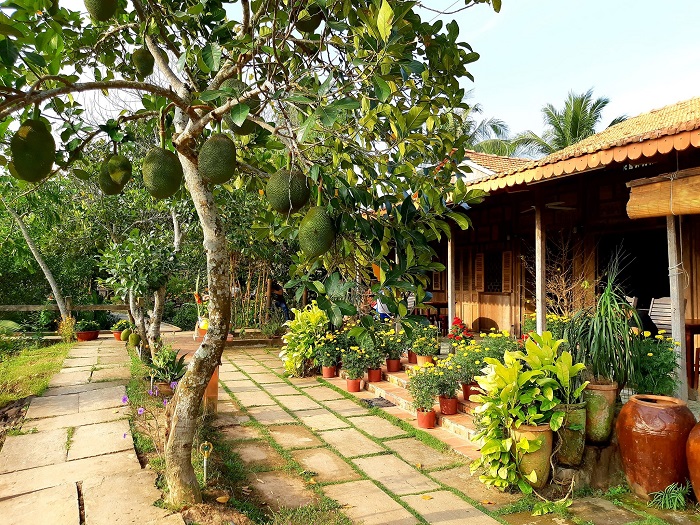 Út Trinh Homestay Vĩnh Long