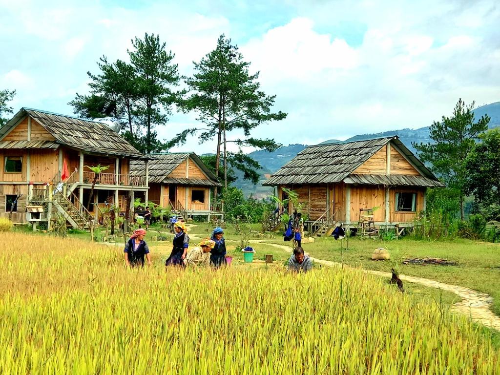 Homestay La Pán Tẩn Paradise